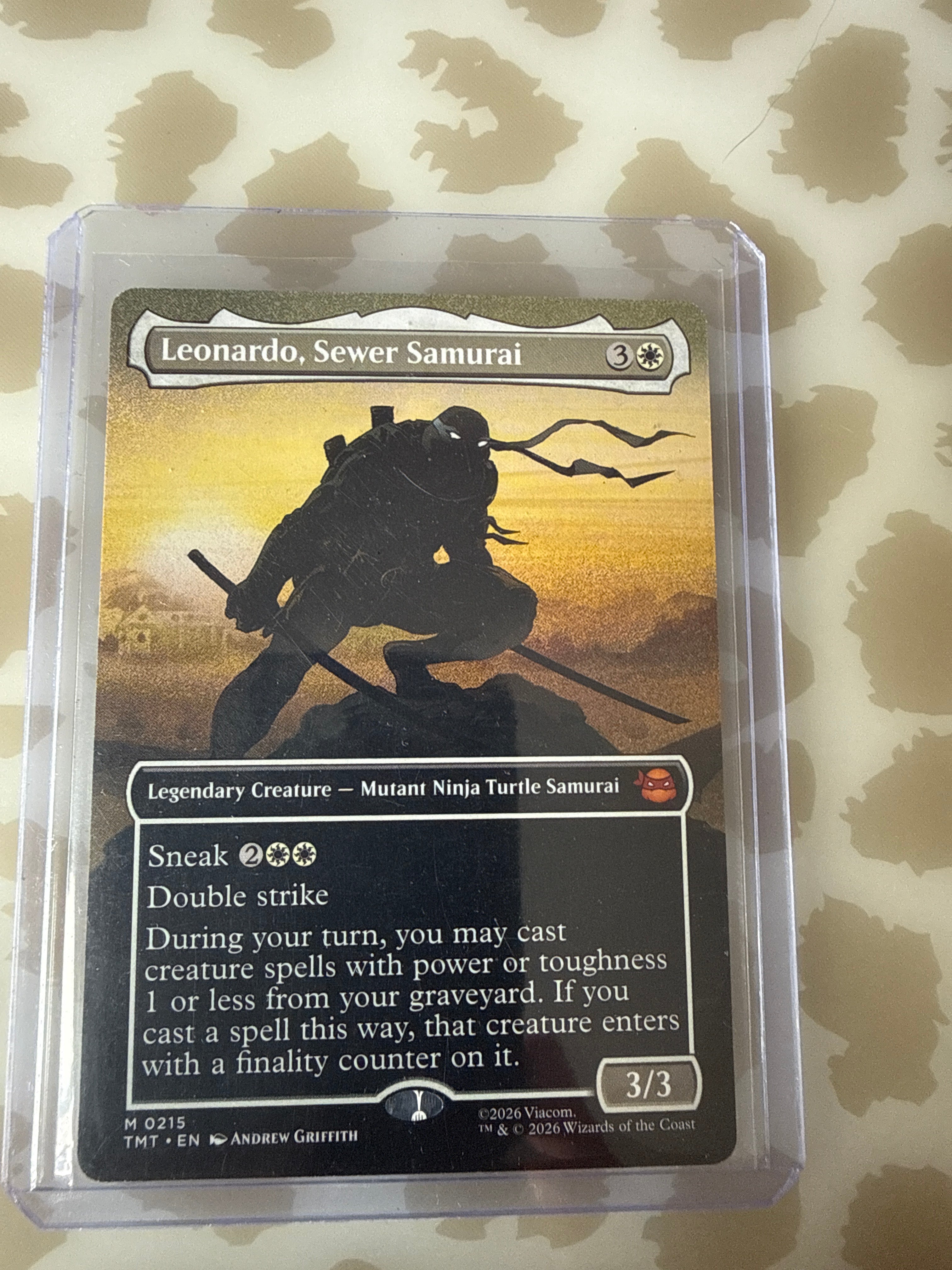 Leonardo. Sewer Samurai Borderless