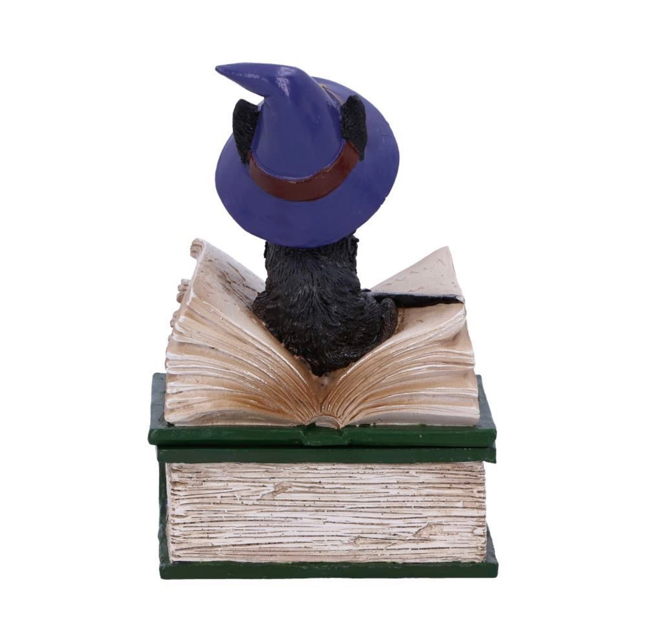 Binx Small Witches Familiar Black Cat and Spellbook Figurine Box 11CM