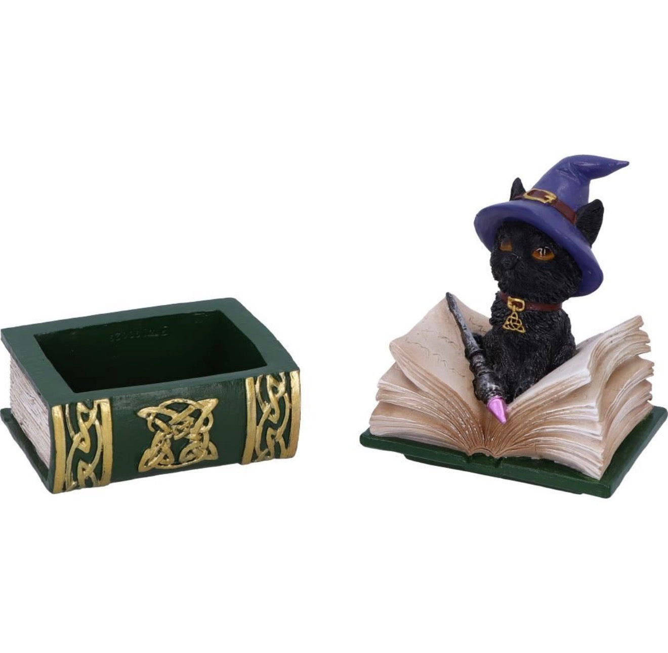 Binx Small Witches Familiar Black Cat and Spellbook Figurine Box 11CM