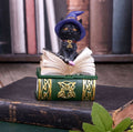 Binx Small Witches Familiar Black Cat and Spellbook Figurine Box 11CM