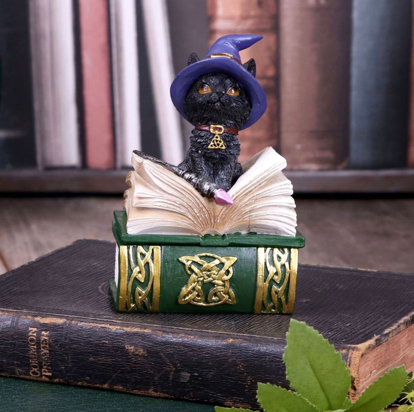 Binx Small Witches Familiar Black Cat and Spellbook Figurine Box 11CM