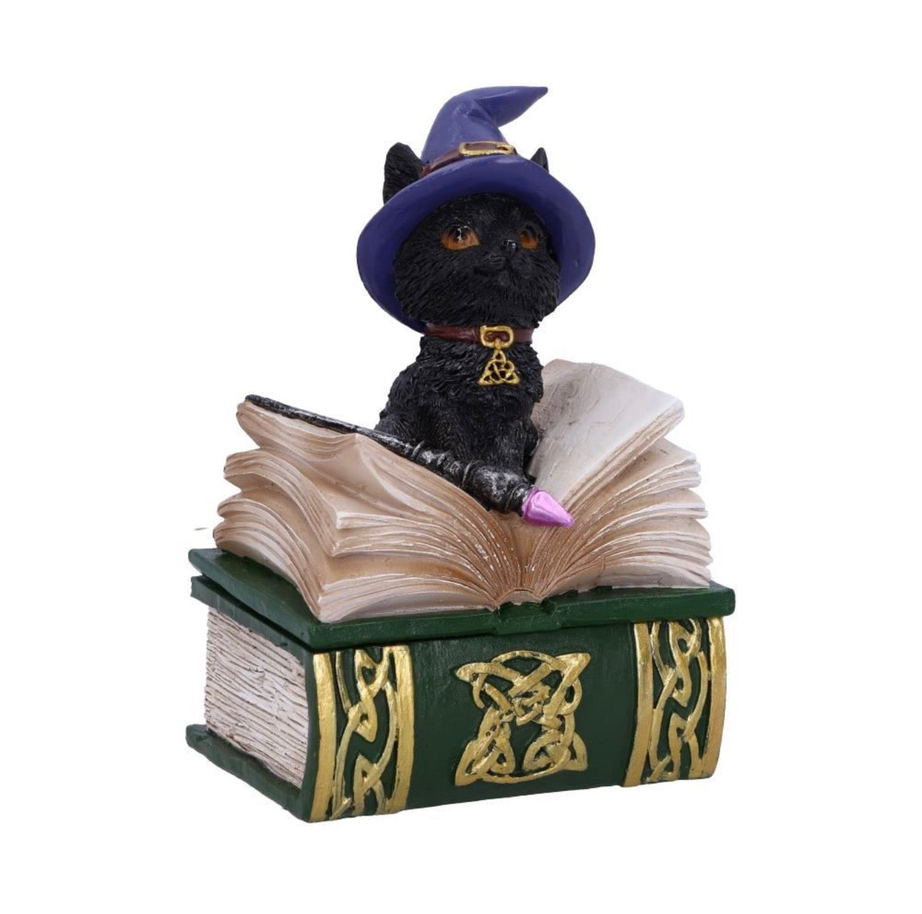 Binx Small Witches Familiar Black Cat and Spellbook Figurine Box 11CM